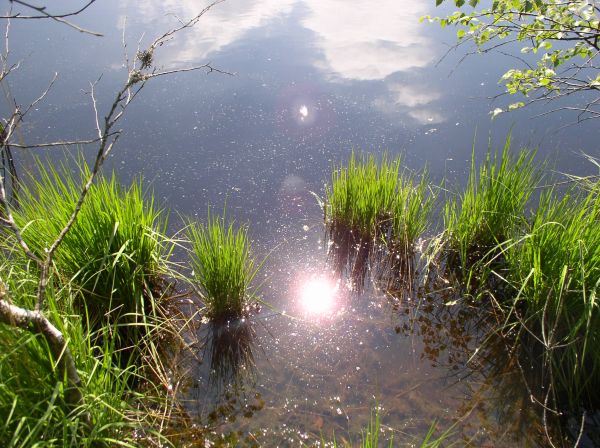 Eau (Thiefosse)  